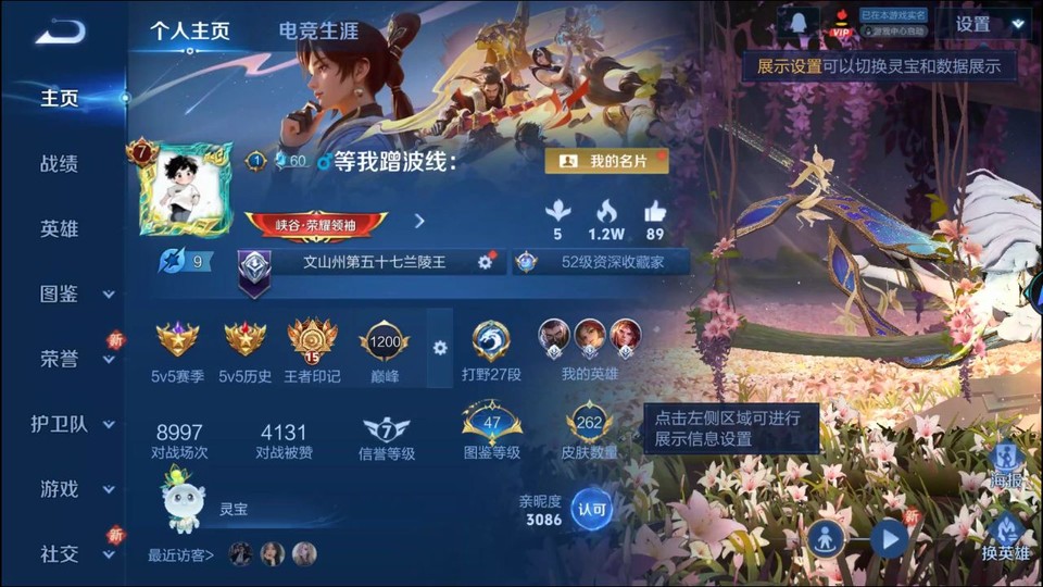 WZQM3353753王者荣耀账号详情图2