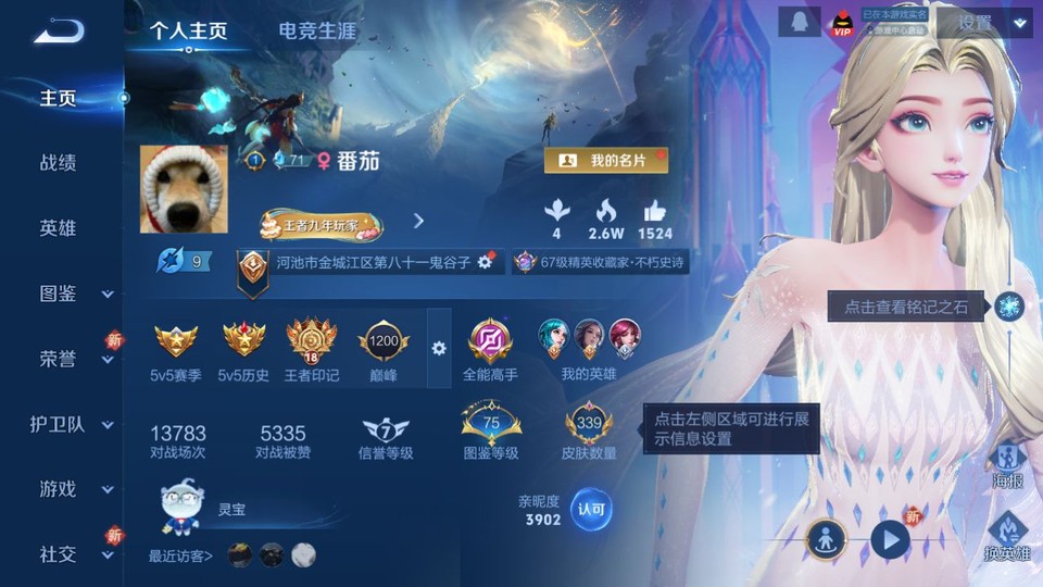 WZQM3364181王者荣耀账号详情图2 WZQM3364181王者荣耀账号详情图2