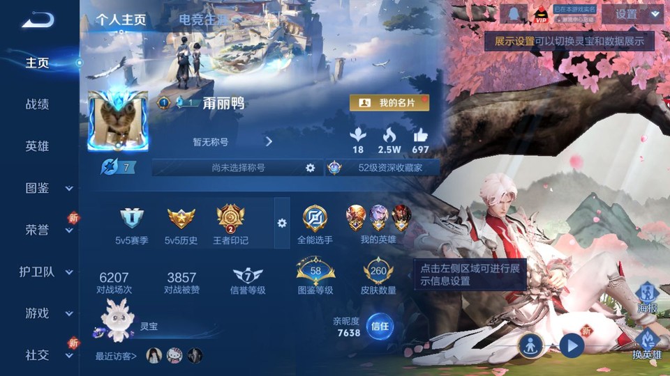 WZQM3371068王者荣耀账号详情图2 WZQM3371068王者荣耀账号详情图2