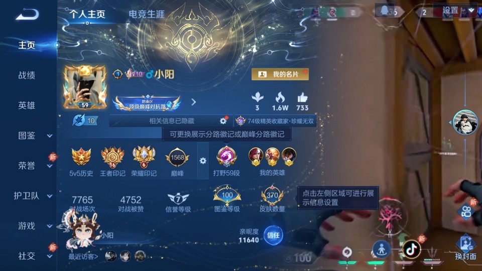 WZQM3375431王者荣耀账号详情图2