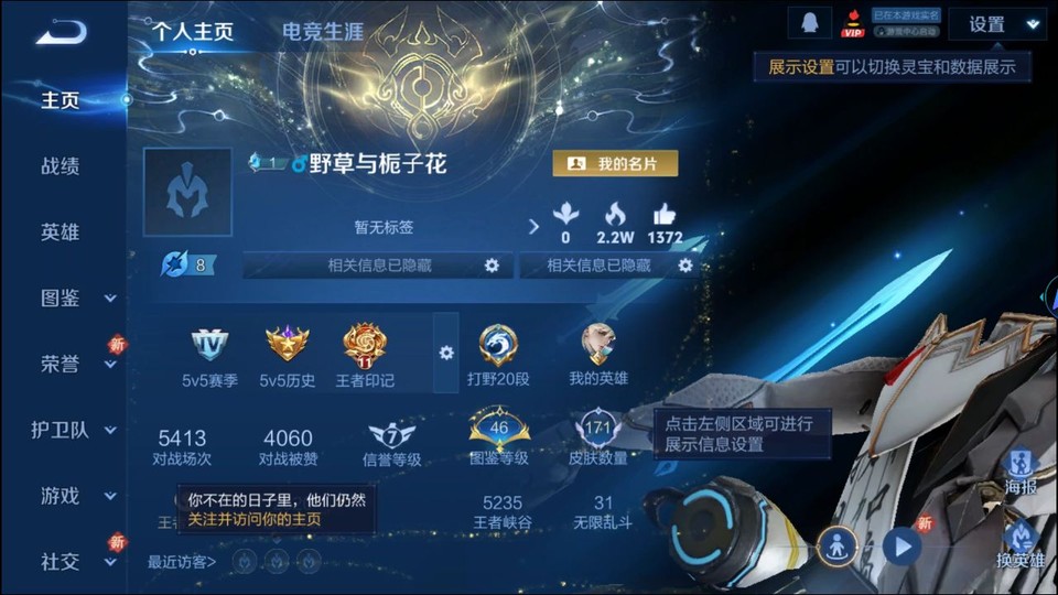 WZQM3465617王者荣耀账号详情图2