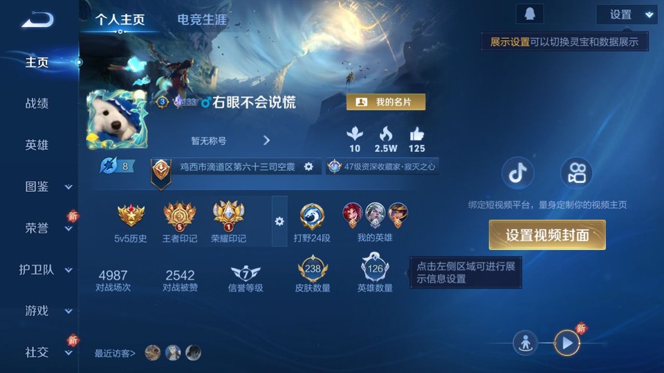 WZQM41320王者荣耀账号详情图2 WZQM41320王者荣耀账号详情图2