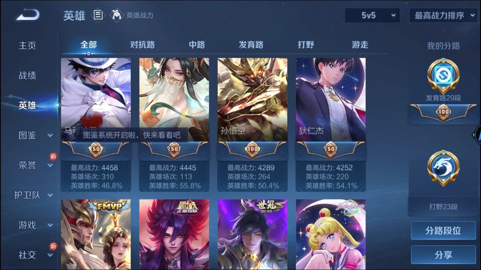 WZQM423925王者荣耀账号详情图11