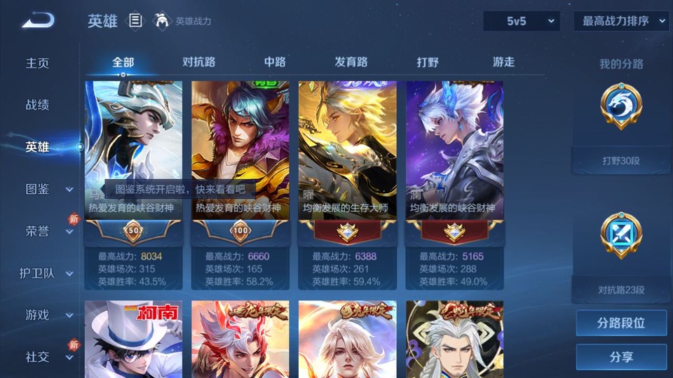 WZQM433531王者荣耀账号详情图10