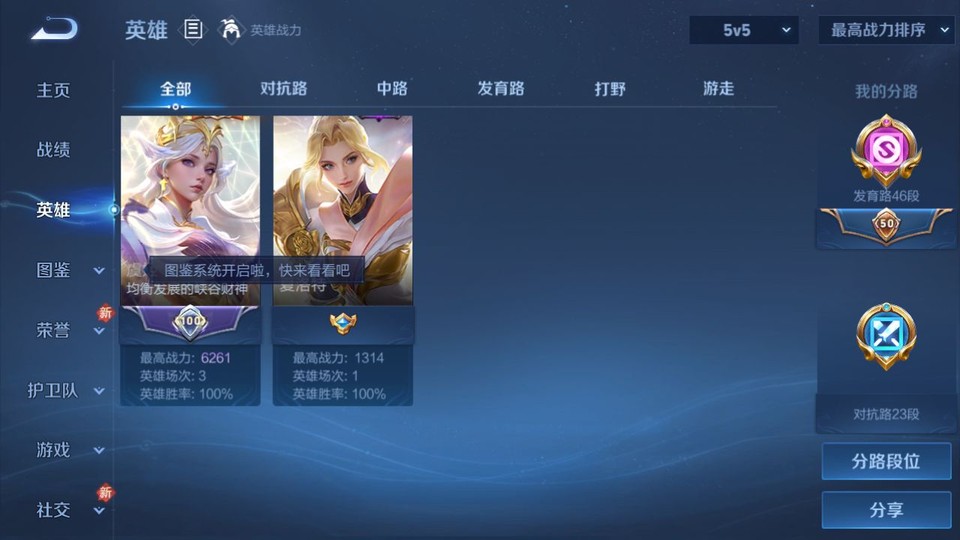 WZQM467674王者荣耀账号详情图11