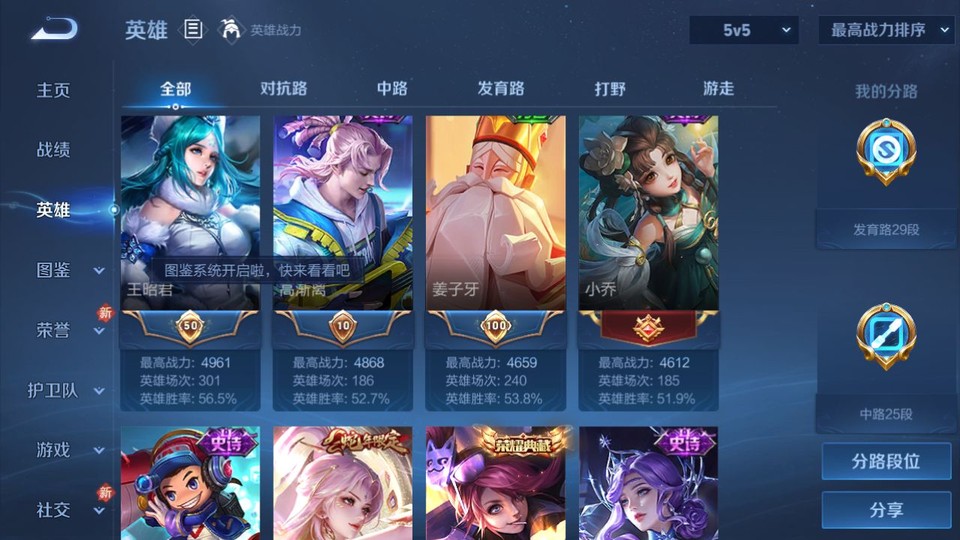 WZQM465339王者荣耀账号详情图9