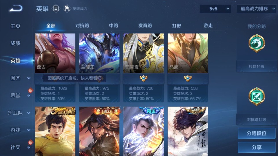 WZQM465439王者荣耀账号详情图10