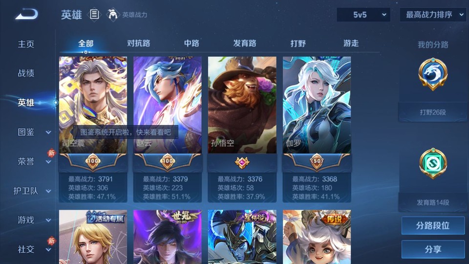 WZQM478174王者荣耀账号详情图9