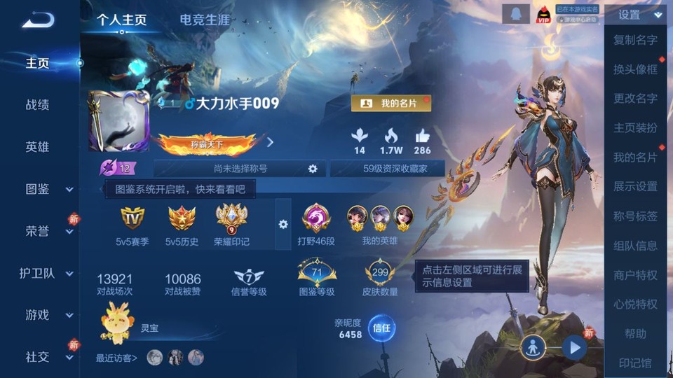 WZQM484310王者荣耀账号详情图2 WZQM484310王者荣耀账号详情图2