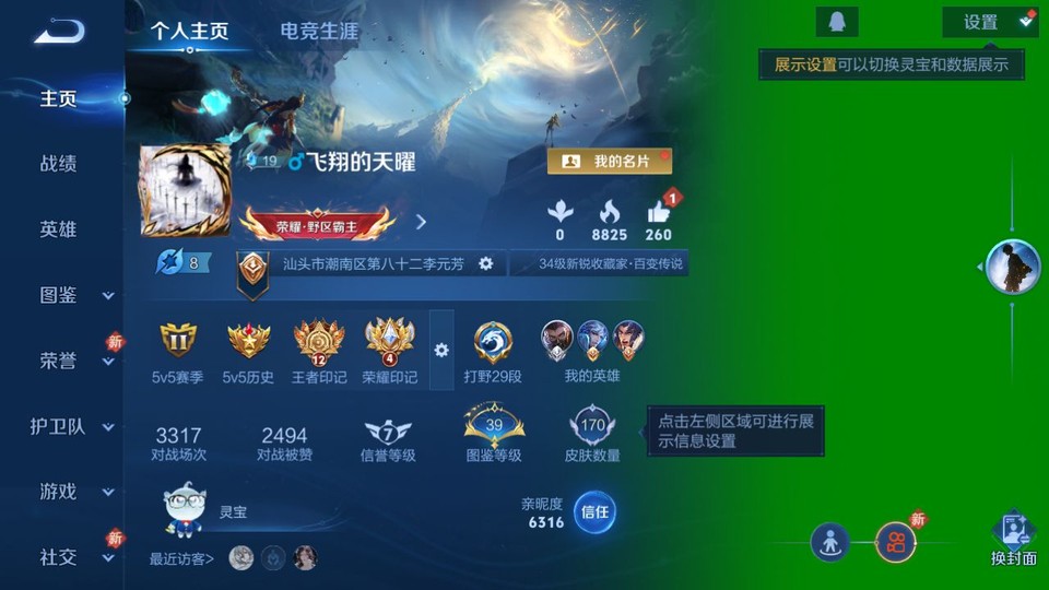 WZQM489383王者荣耀账号详情图2