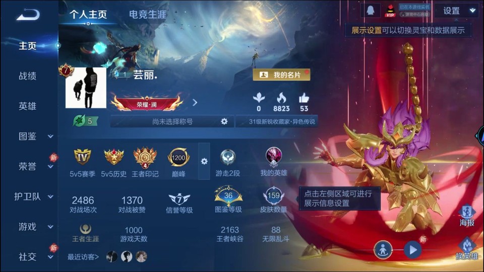 WZQM493183王者荣耀账号详情图2