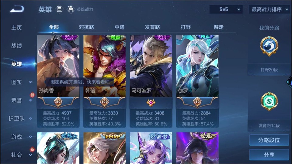 WZQM493183王者荣耀账号详情图9