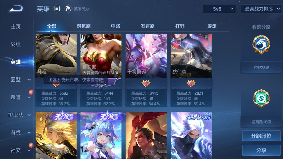 WZQM493163王者荣耀账号详情图10