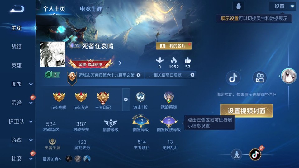 WZQM4196563王者荣耀账号详情图2