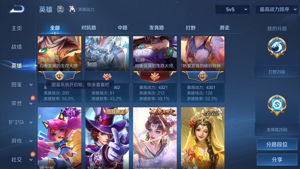 WZQM4196590王者荣耀账号详情图10