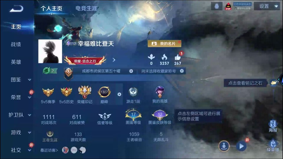 WZQM4206950王者荣耀账号详情图2