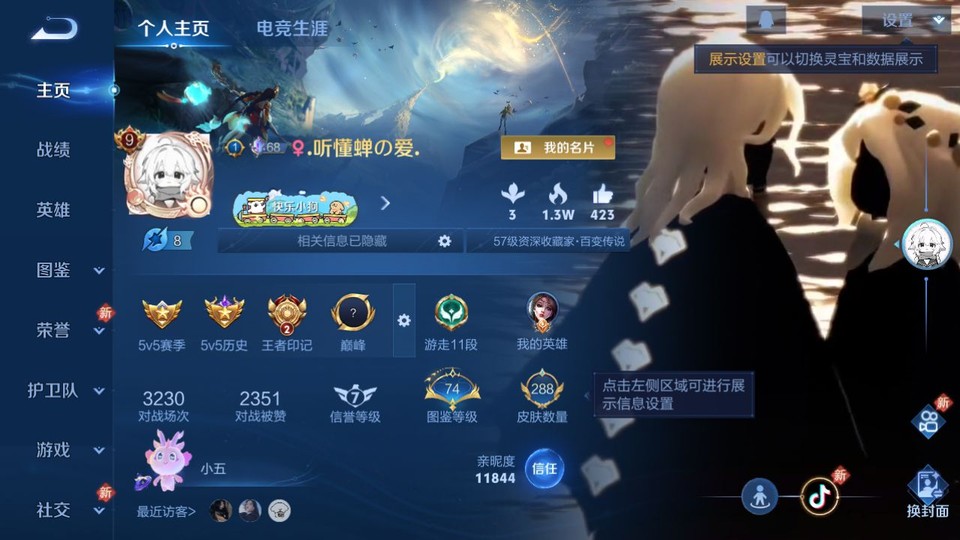 WZQM4236859王者荣耀账号详情图2 WZQM4236859王者荣耀账号详情图2