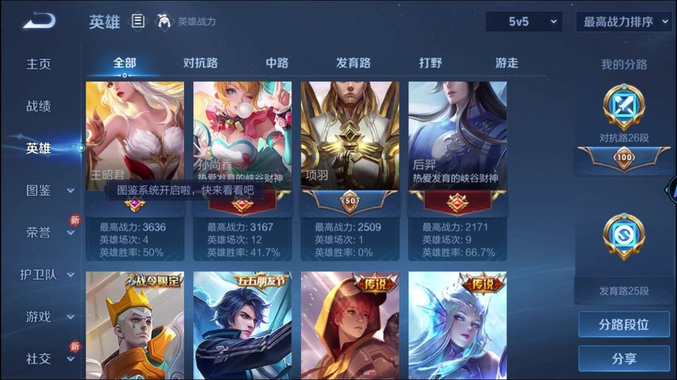 WZQM4253488王者荣耀账号详情图11