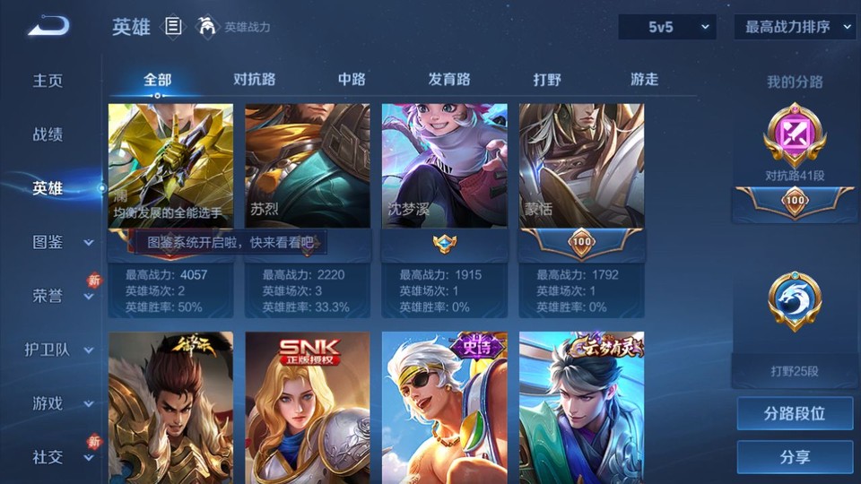 WZQM4266177王者荣耀账号详情图10 WZQM4266177王者荣耀账号详情图10