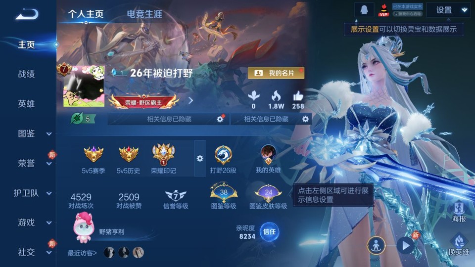 WZQM4274259王者荣耀账号详情图2