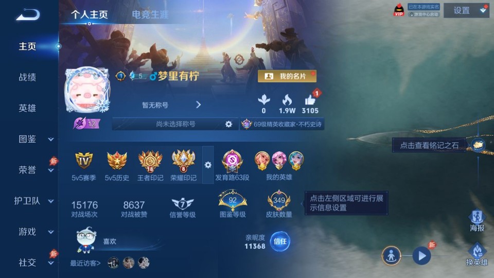 WZQM4287255王者荣耀账号详情图2