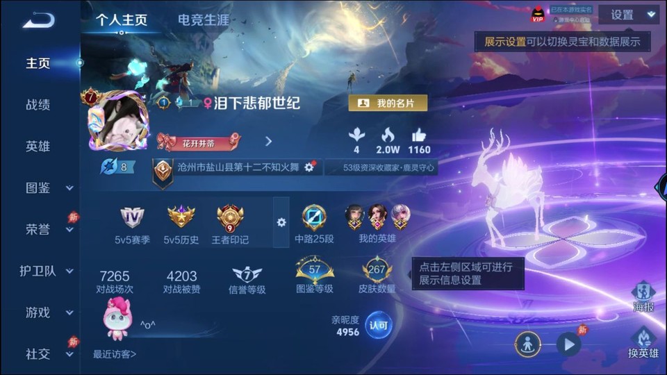 WZQM4287419王者荣耀账号详情图2 WZQM4287419王者荣耀账号详情图2