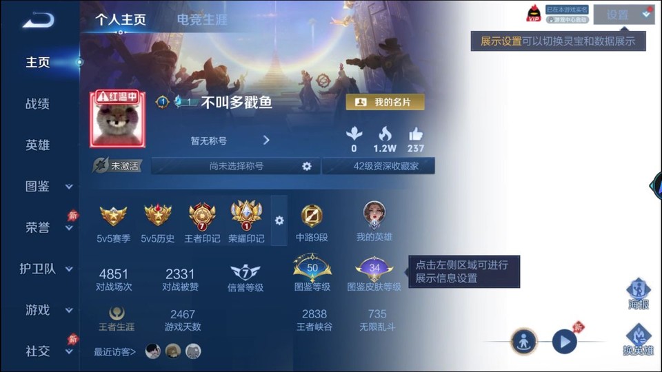 WZQM4305134王者荣耀账号详情图2