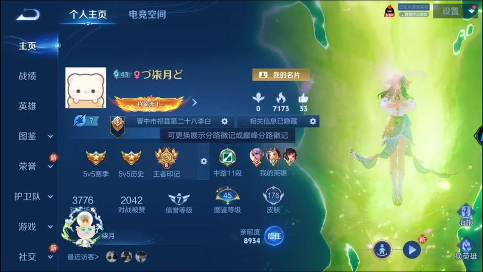 WZQM3289859王者荣耀账号详情图2