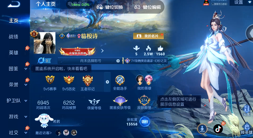 WZQM4568744王者荣耀账号详情图2