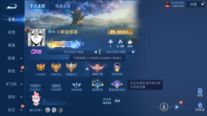 WZQM4666939王者荣耀账号详情图2 WZQM4666939王者荣耀账号详情图2