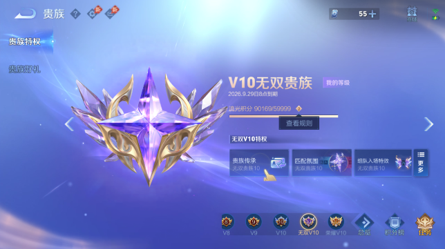 WZQM4626799王者荣耀账号详情图13