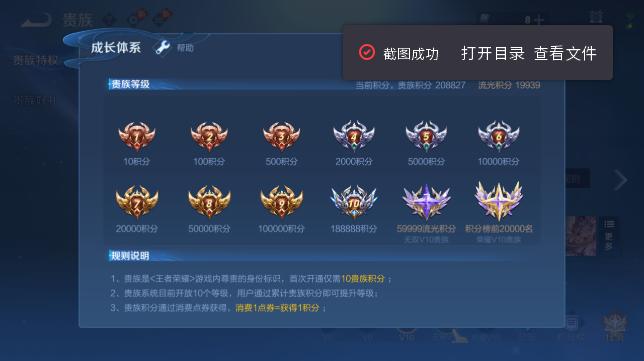 WZQM4628530王者荣耀账号详情图14