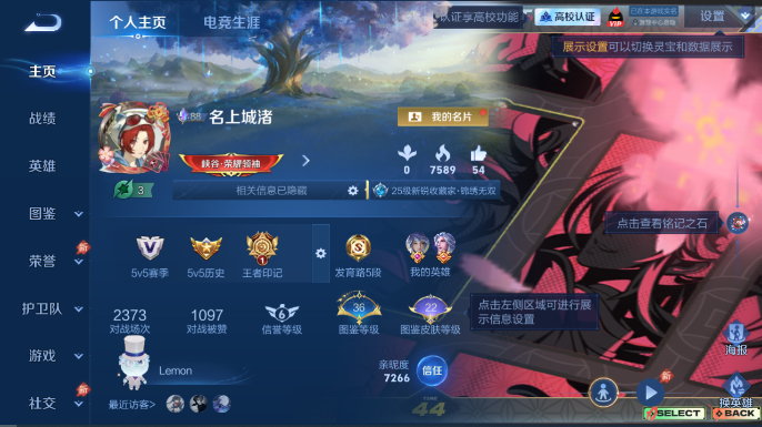 WZQM4652696王者荣耀账号详情图2 WZQM4652696王者荣耀账号详情图2